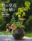 はじめての野の草花寄せ植え